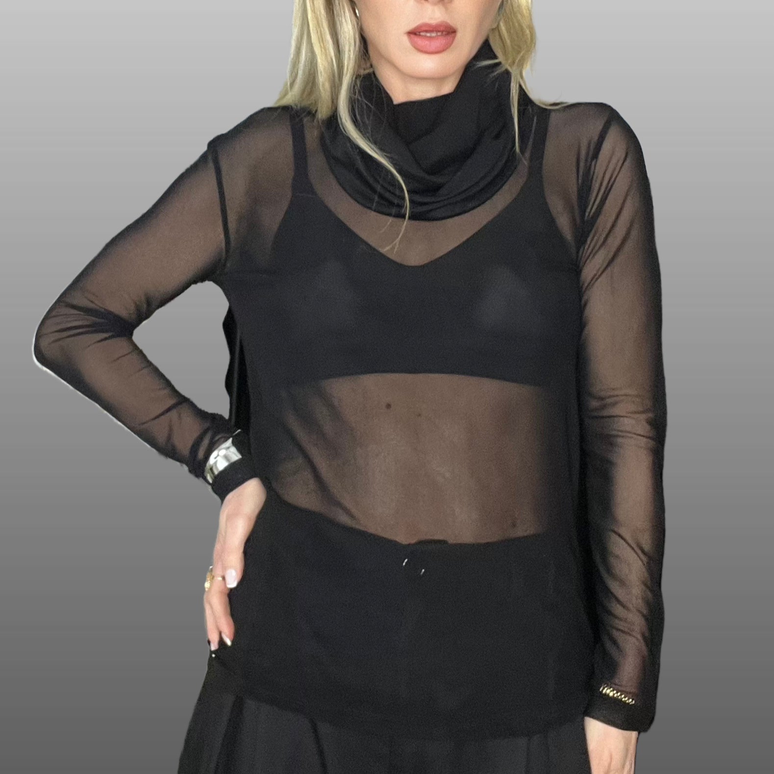 THE SHEER BLOUSE