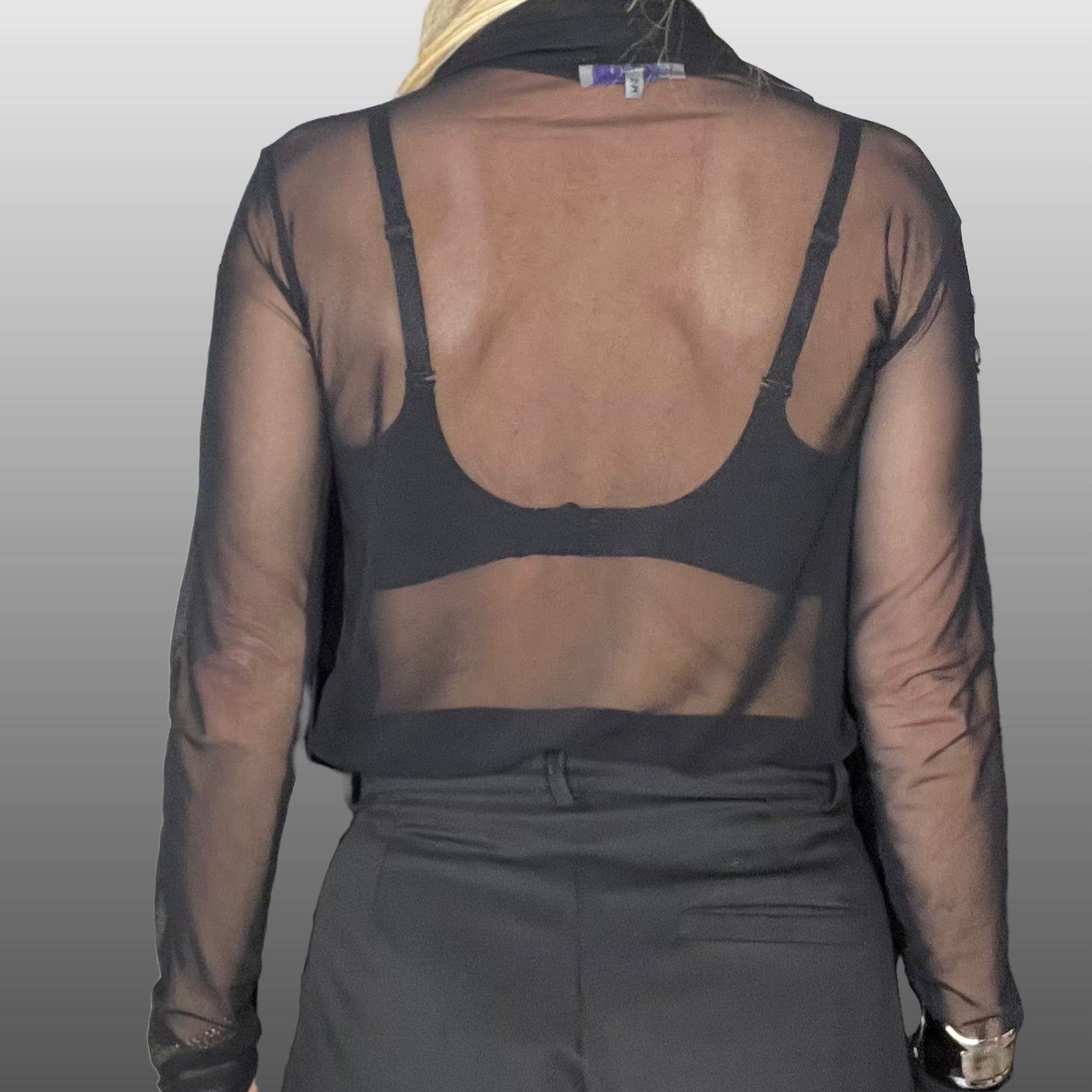 THE SHEER BLOUSE