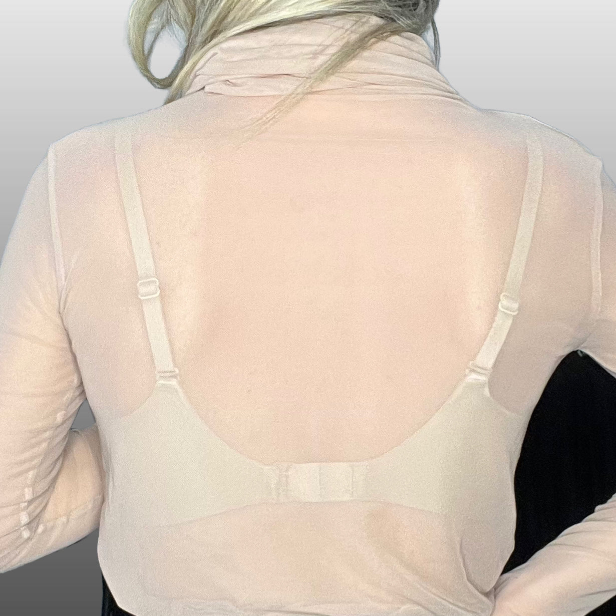 THE SHEER BLOUSE